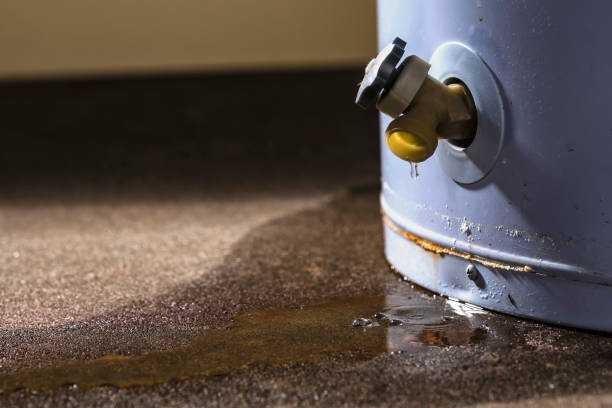 Best 24/7 water damage repair  in West Deland, FL