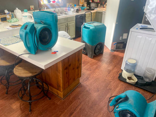 Best Water damage restoration mold remediation  in West Deland, FL