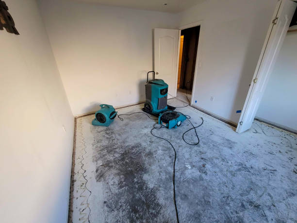 Water damage restoration insurance claims in West Deland, FL