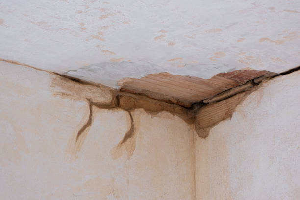 Best Flood damage cleanup  in West Deland, FL