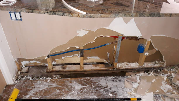 Best Ceiling water damage repair  in West Deland, FL