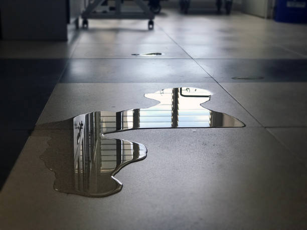 Best Commercial water damage restoration  in West Deland, FL