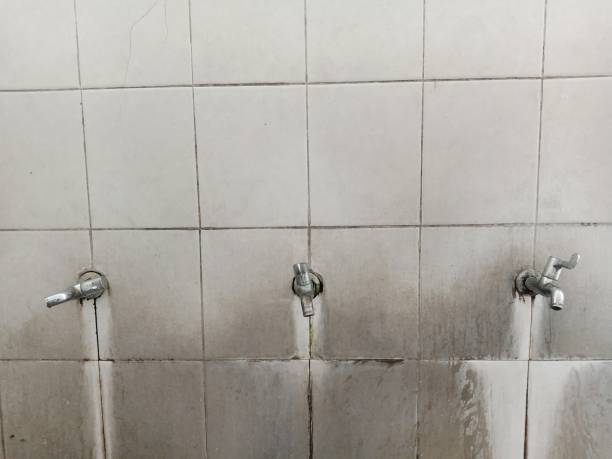 Best Water damage cleanup near me  in West Deland, FL