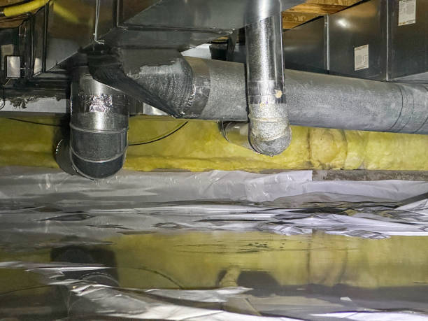 Best Water damage restoration near me  in West Deland, FL