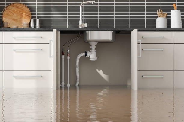 Best Water damage restoration company  in West Deland, FL