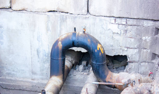 Best Carpet water damage restoration  in West Deland, FL